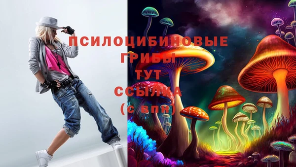 герыч Алзамай