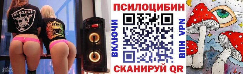 где купить наркотик  Иноземцево  ОМГ ОМГ как войти  Псилоцибиновые грибы мицелий 